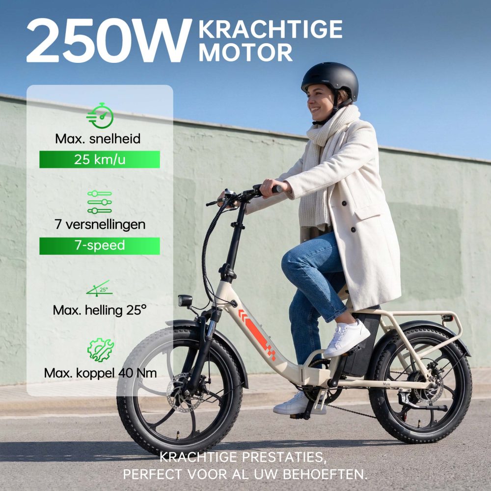 Maxtron MULE - Elektrische Vouwfiets - 20 inch - 250W Motor - 48V 20Ah Accu - Wit