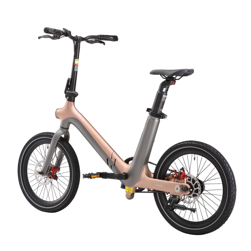 Maxtron Smart 30 – Elektrische Vouwfiets – 20 inch – 250W Motor – 36V 9.6Ah Accu – Goudgrijs